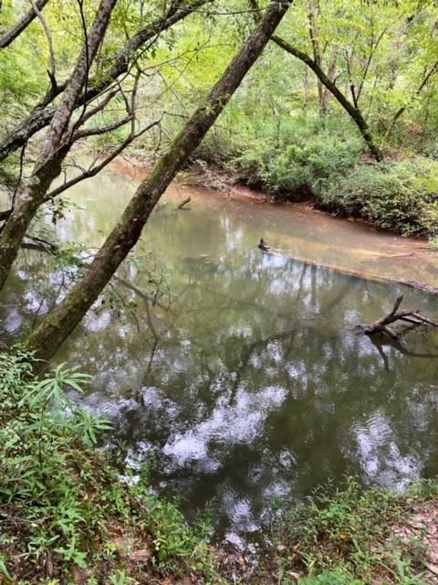 0 North Greensburg Road Liberty, MS 39645 - Photo 11 of 20 Photo 11