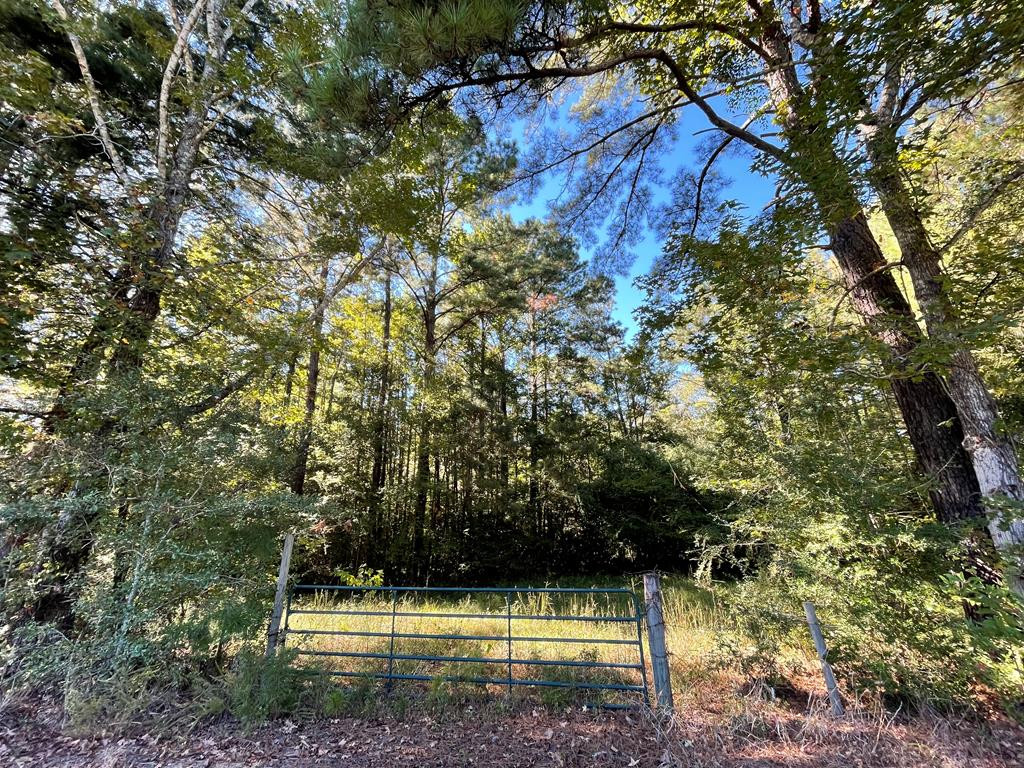 0 North Greensburg Road Liberty, MS 39645 - Photo 13 of 20 Photo 13
