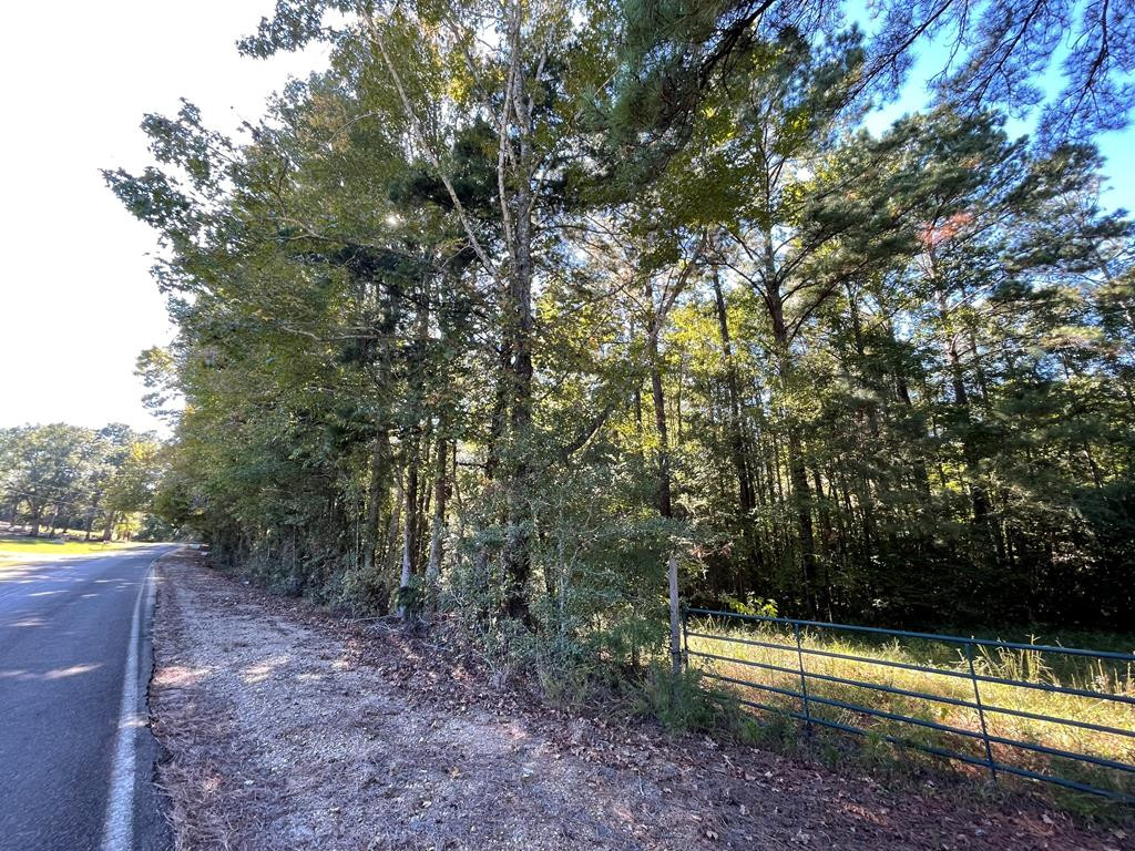 0 North Greensburg Road Liberty, MS 39645 - Photo 14 of 20 Photo 14