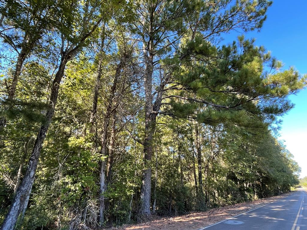 0 North Greensburg Road Liberty, MS 39645 - Photo 15 of 20 Photo 15