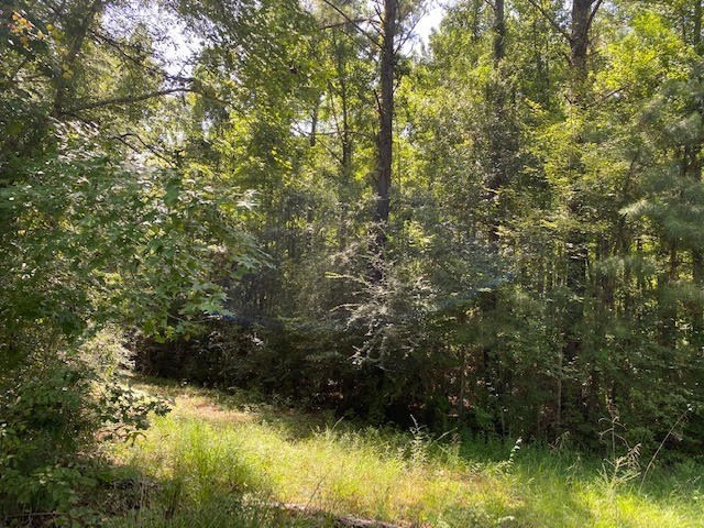 0 North Greensburg Road Liberty, MS 39645 - Photo 16 of 20 Photo 16