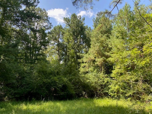 0 North Greensburg Road Liberty, MS 39645 - Photo 17 of 20 Photo 17