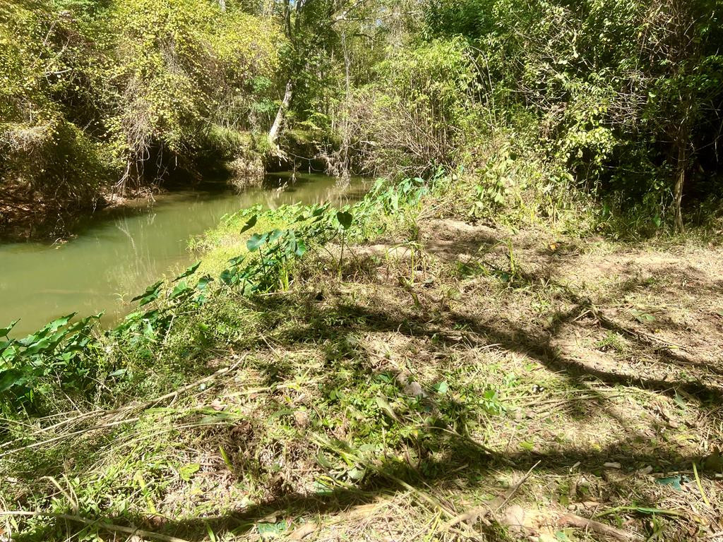 0 North Greensburg Road Liberty, MS 39645 - Photo 20 of 20 Photo 20