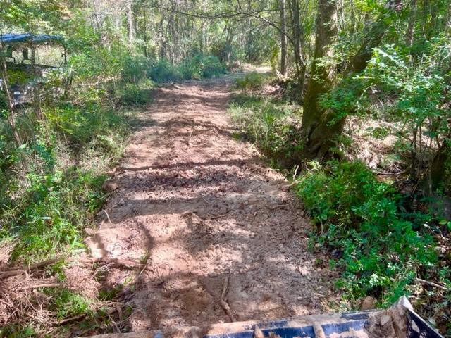 0 North Greensburg Road Liberty, MS 39645 - Photo 3 of 20 Photo 3