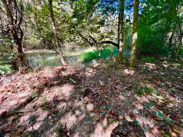 0 North Greensburg Road Liberty, MS 39645 - Photo 4 of 20 Photo 4