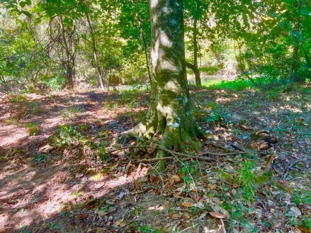 0 North Greensburg Road Liberty, MS 39645 - Photo 5 of 20 Photo 5
