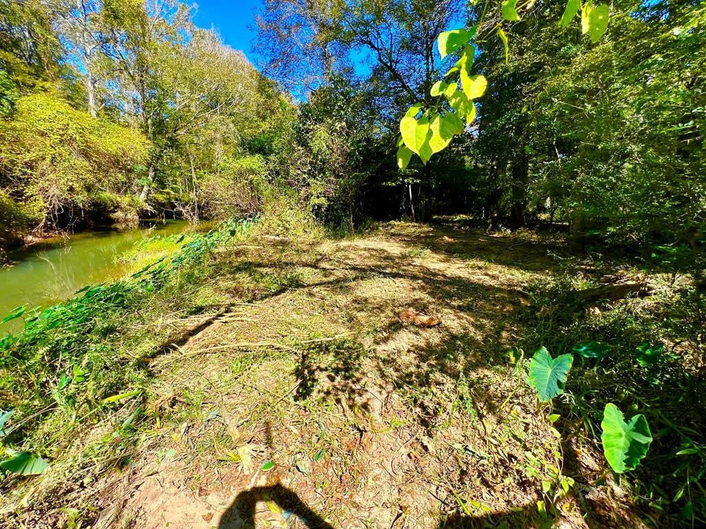 0 North Greensburg Road Liberty, MS 39645 - Photo 7 of 20 Photo 7