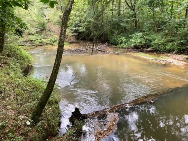 0 North Greensburg Road Liberty, MS 39645 - Photo 9 of 20 Photo 9