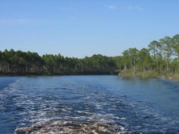 782 Mill Road Carrabelle, FL 32322 - Photo 2 of 3