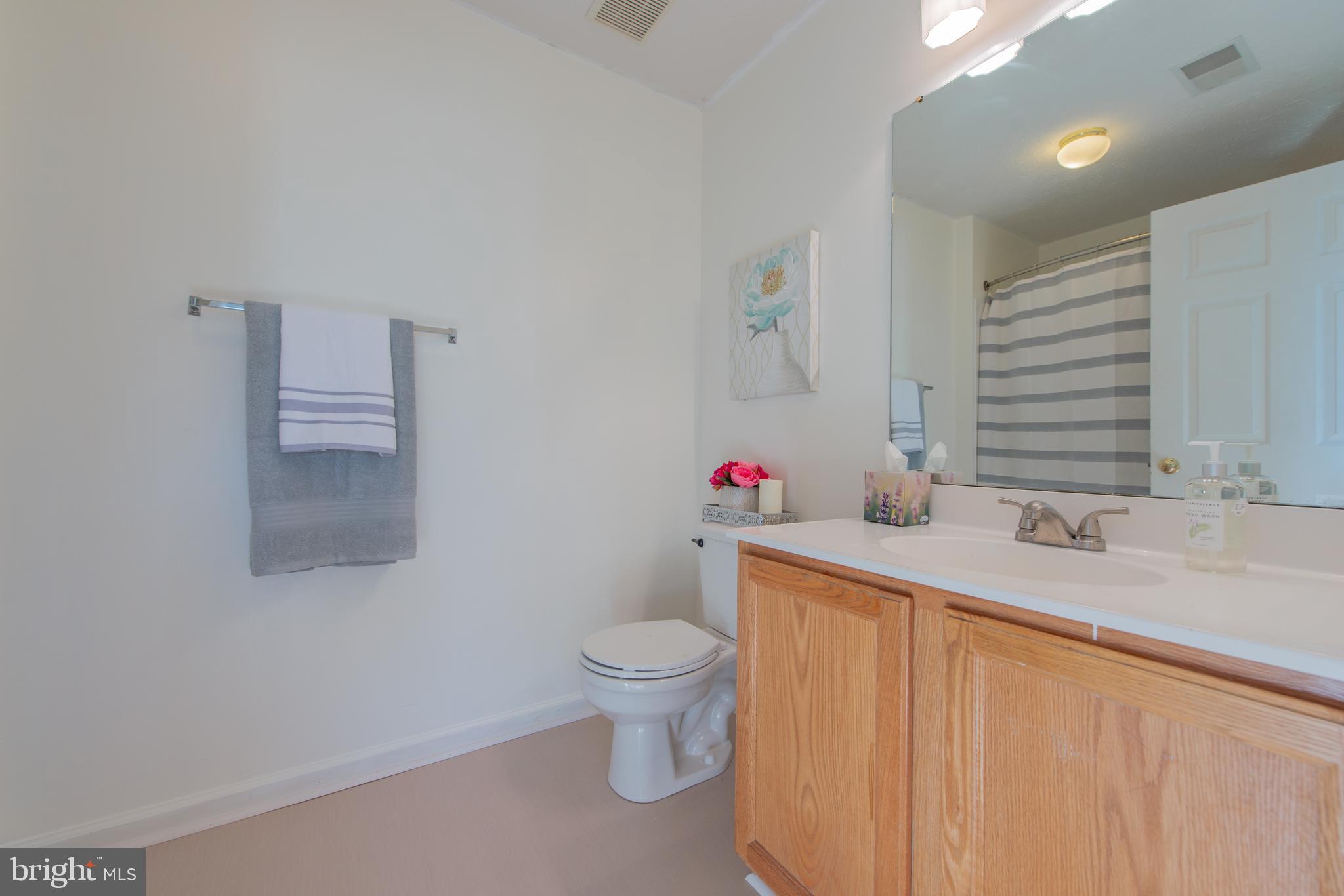 9766 Reese Farm Road Owings Mills, MD 21117 - Photo 26 of 30 Master Bath