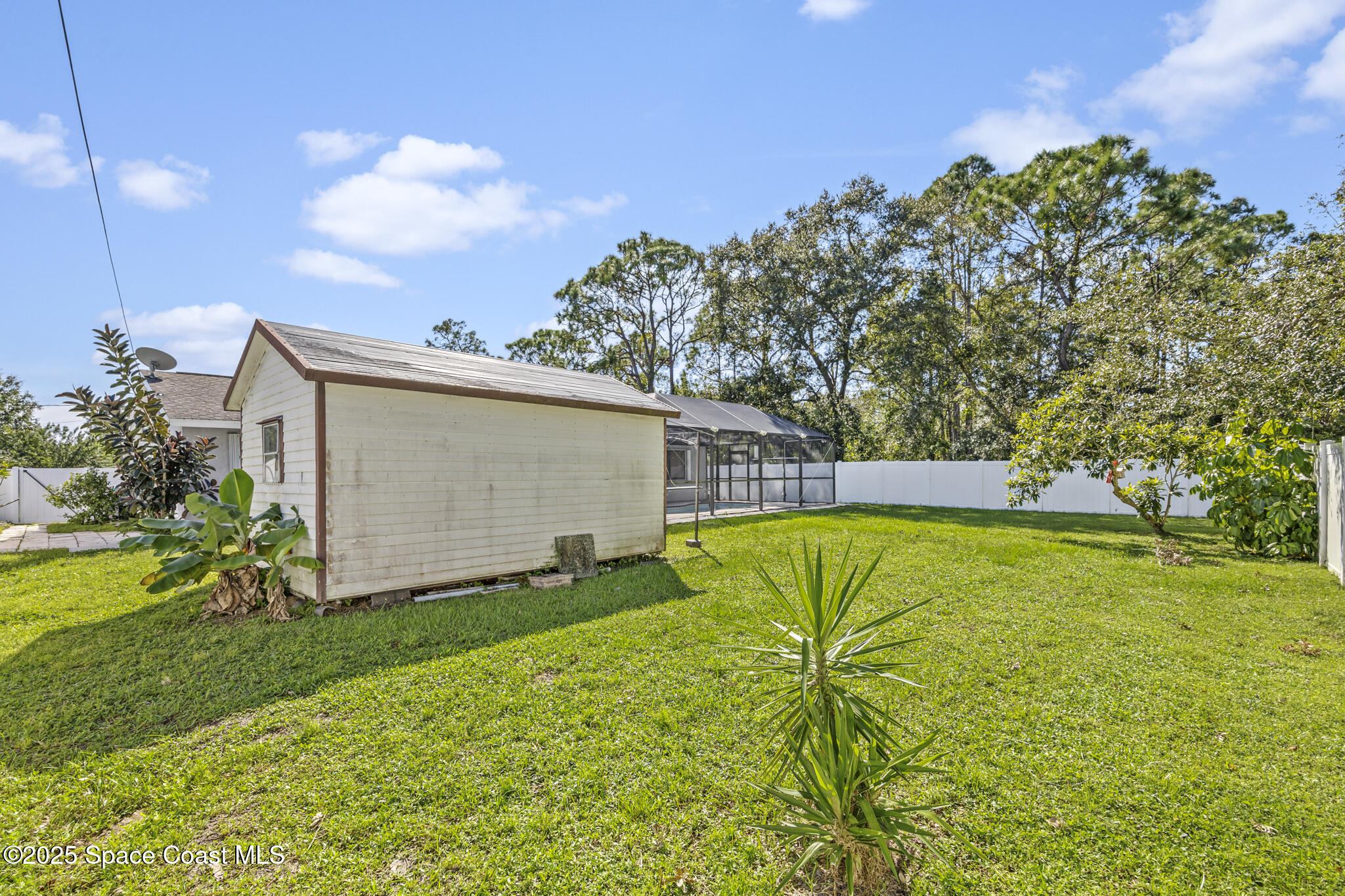 797 Tooley Road Southwest Palm Bay, FL 32908 - Photo 9 of 38 a view of backyard with swimming pool