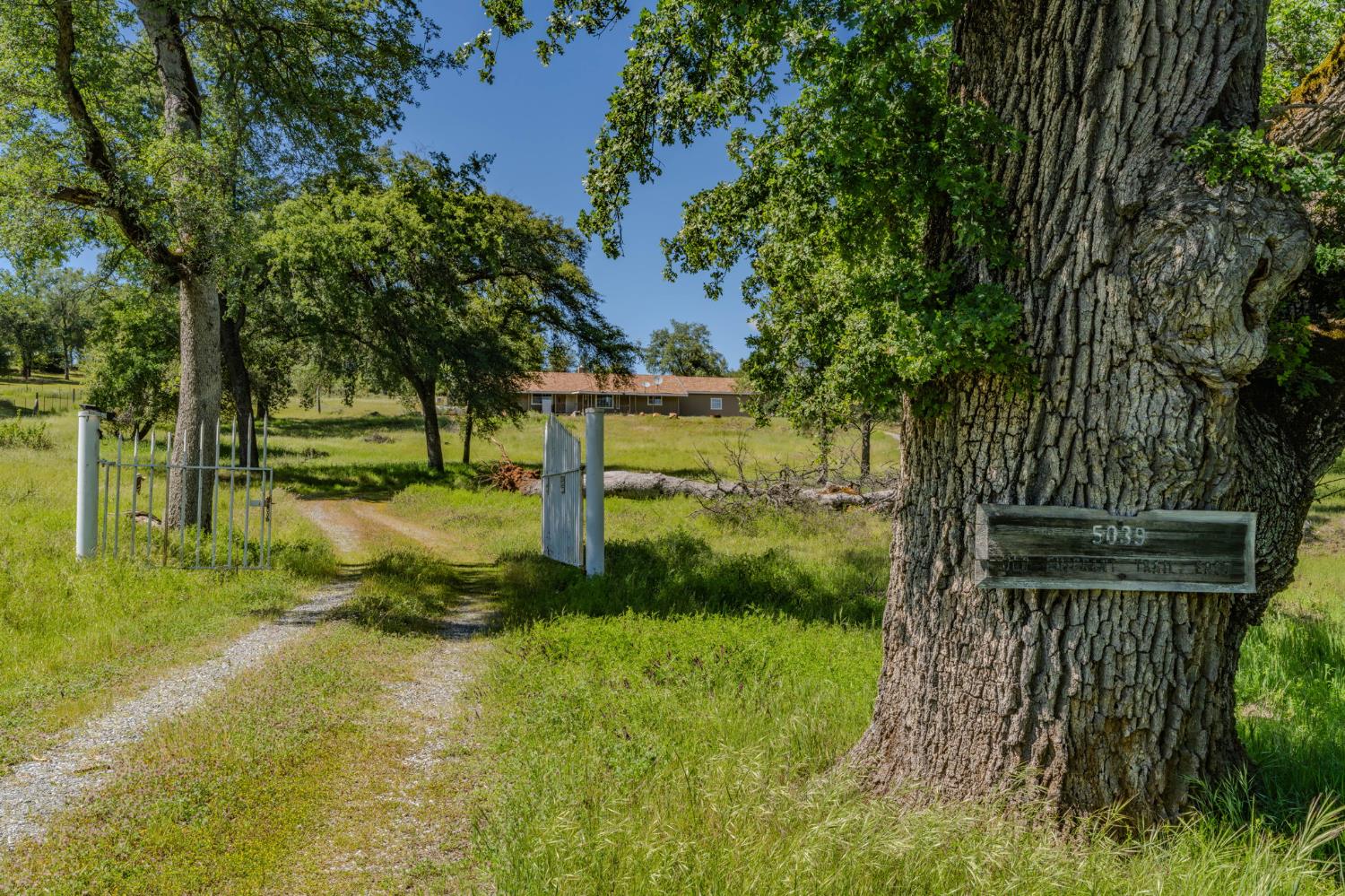 5039 Old Emigrant Trail East Mountain Ranch, CA 95246 - Photo 4 of 67