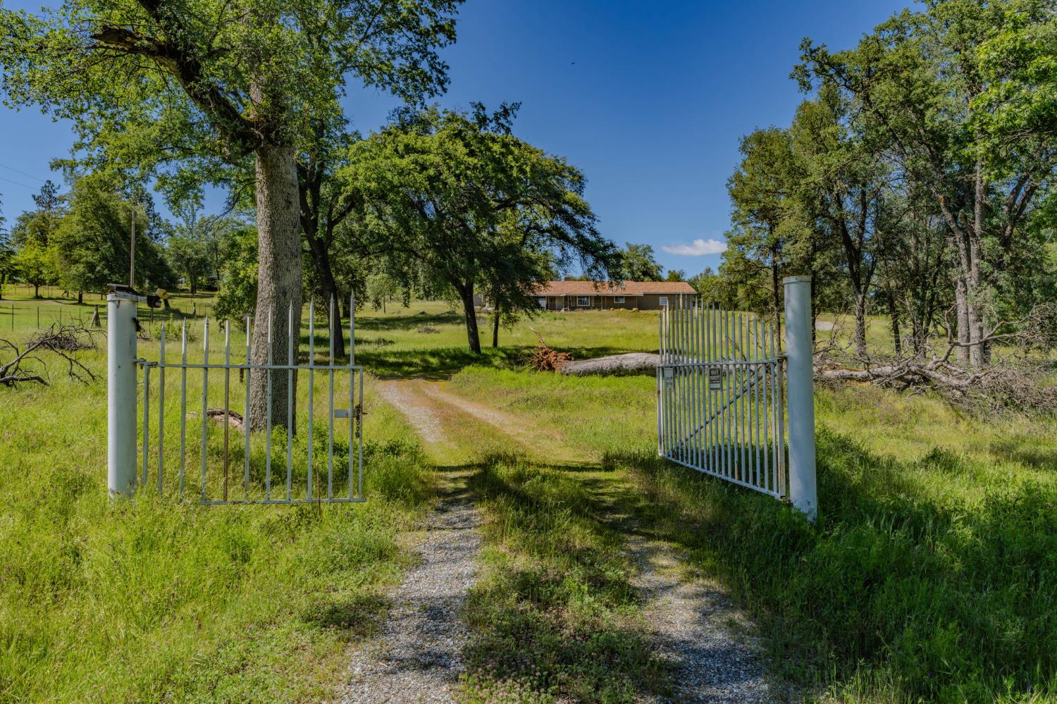 5039 Old Emigrant Trail East Mountain Ranch, CA 95246 - Photo 5 of 67