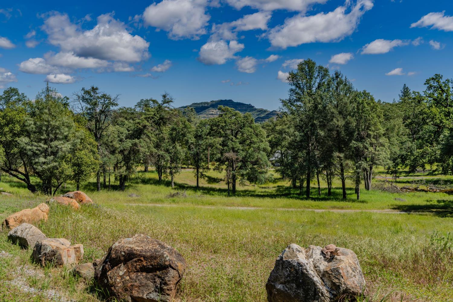 5039 Old Emigrant Trail East Mountain Ranch, CA 95246 - Photo 56 of 67