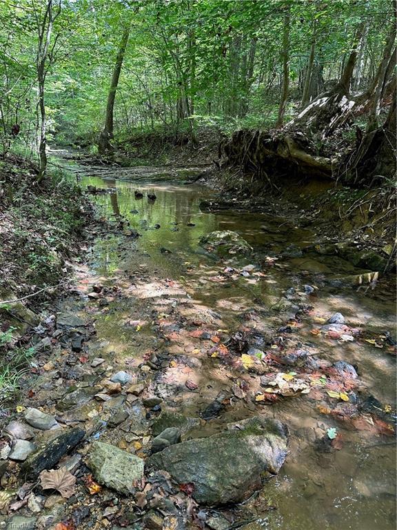 1010 Par Farm Road Rural Hall, NC 27045 - Photo 9 of 30 Photo of creek on property