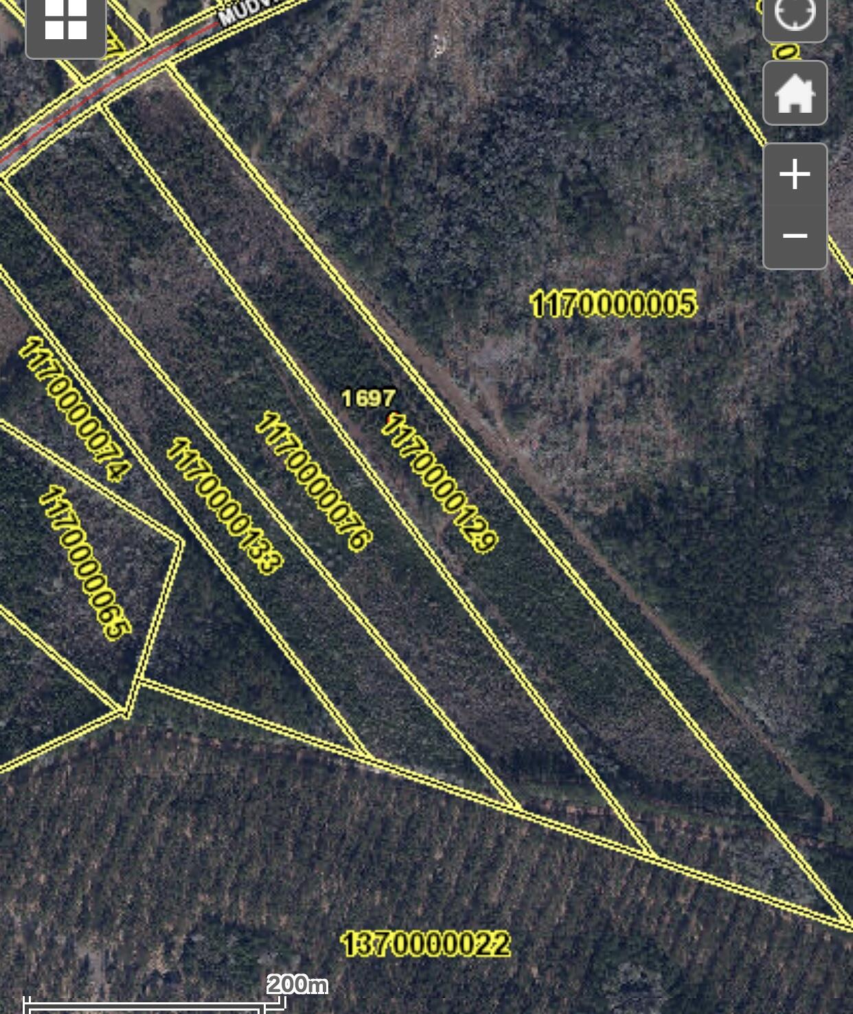 1697 Mudville Road Ridgeville, SC 29472 - Photo 2 of 2 16978 Mudville Areal w Lines