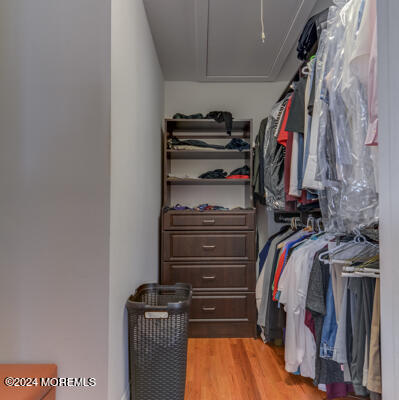 513 Mercer Avenue Spring Lake, NJ 07762 - Photo 43 of 60 Primary Bedroom Closet partial view