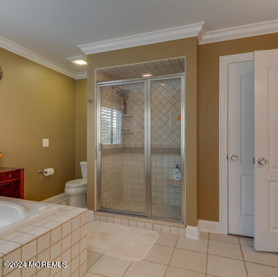 513 Mercer Avenue Spring Lake, NJ 07762 - Photo 45 of 60 Primary Bathroom with Stall Shower