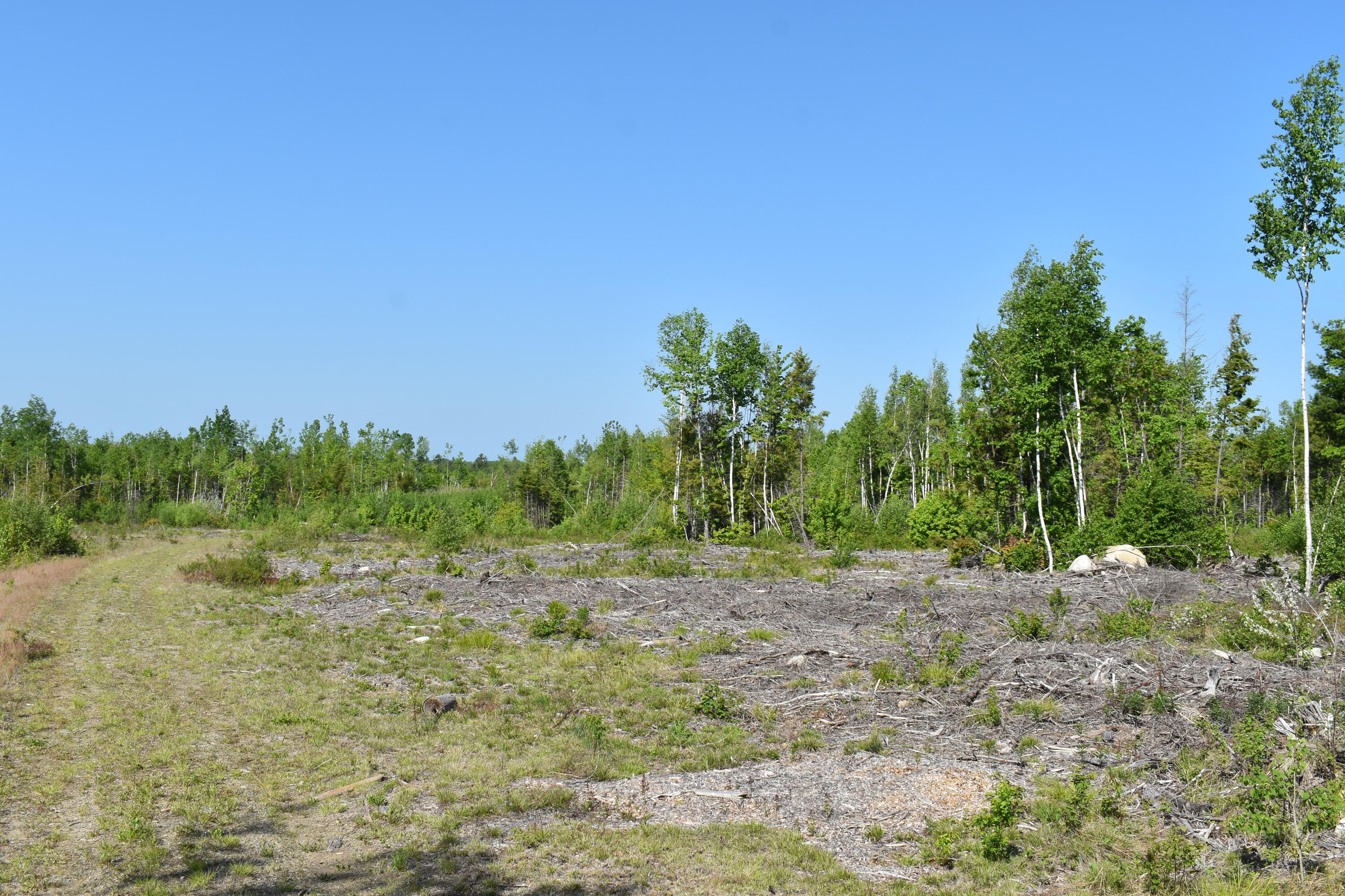 Off Goulds Ridge Road Passadumkeag, ME 04475 - Photo 4 of 22 DSC_0027