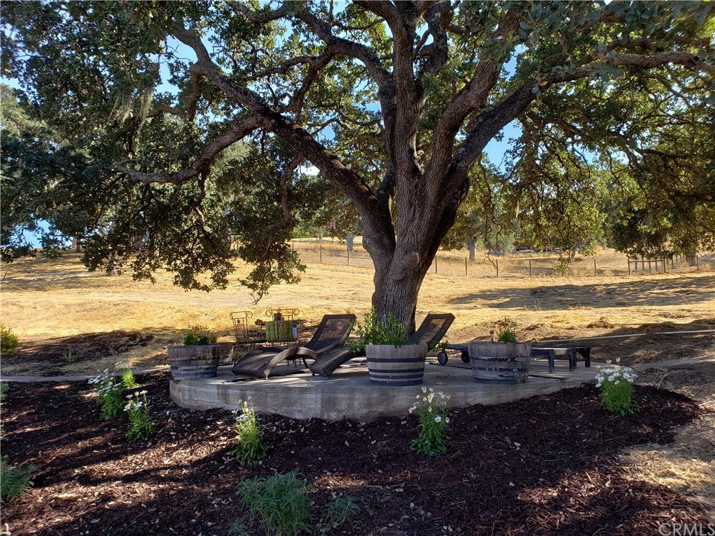 1085 Ladera Lane Paso Robles, CA 93446 - Photo 17 of 21 Relax in your back yard under this gorgeous sprawling Oak Tree.