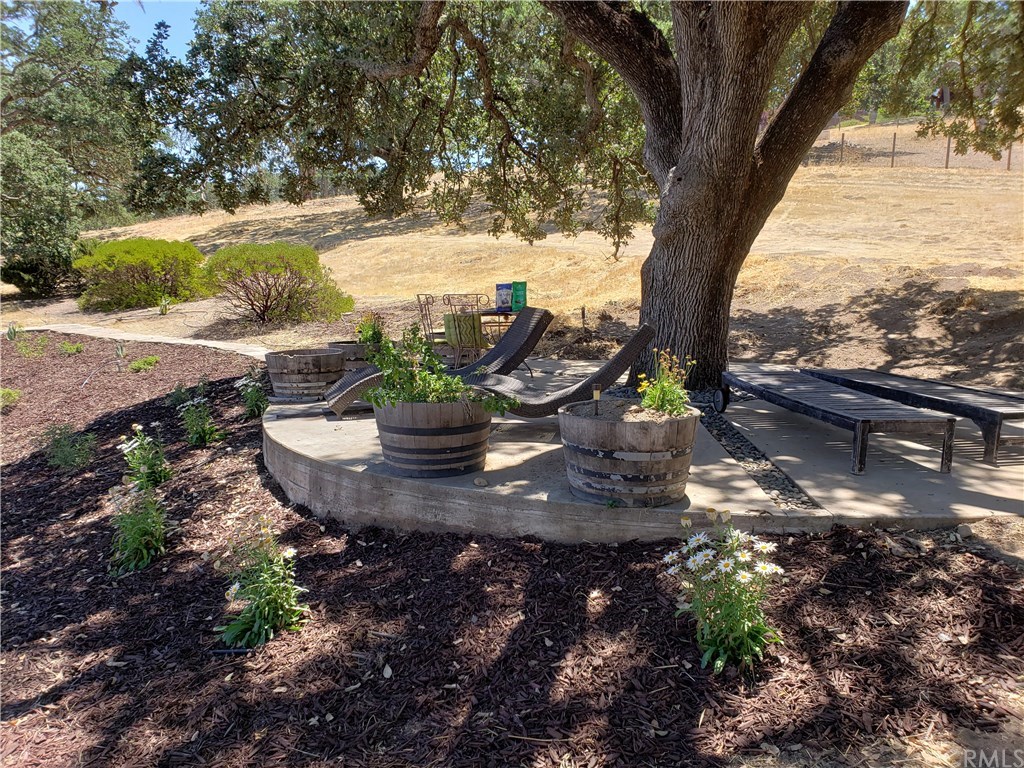 1085 Ladera Lane Paso Robles, CA 93446 - Photo 18 of 21