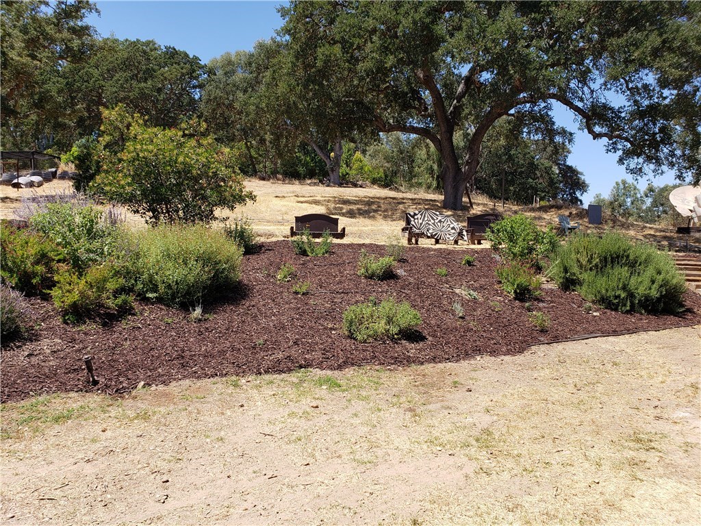 1085 Ladera Lane Paso Robles, CA 93446 - Photo 19 of 21