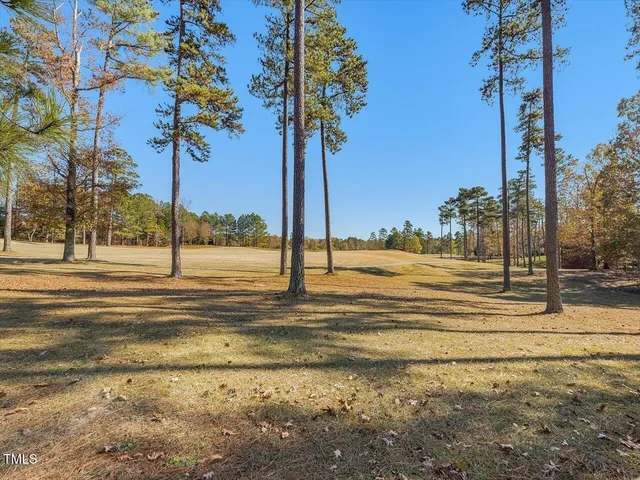 a view of a yard with palm trees