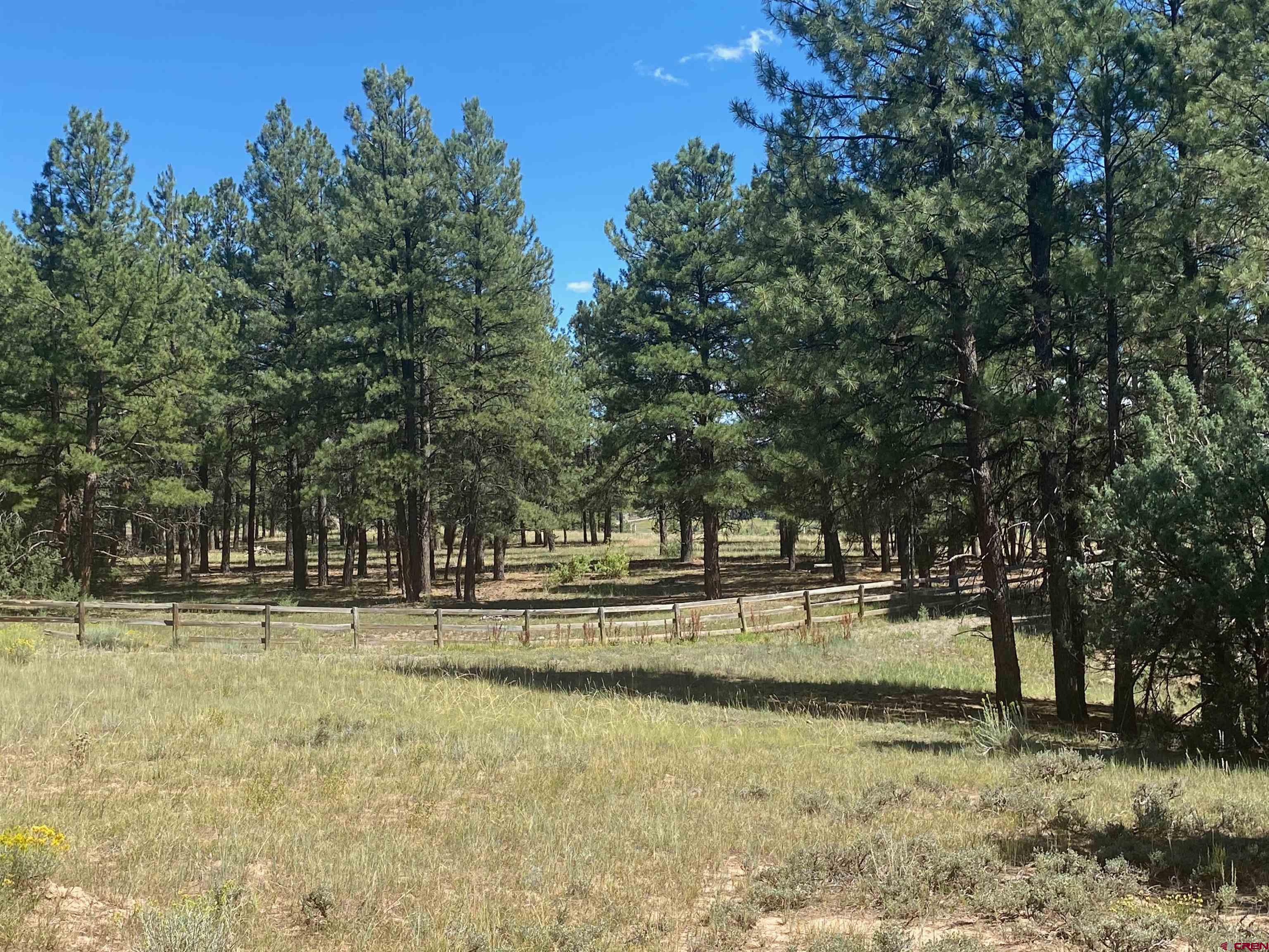 X Rumbaugh Road Pagosa Springs, CO 81147 - Photo 18 of 21 Gallery Image 18