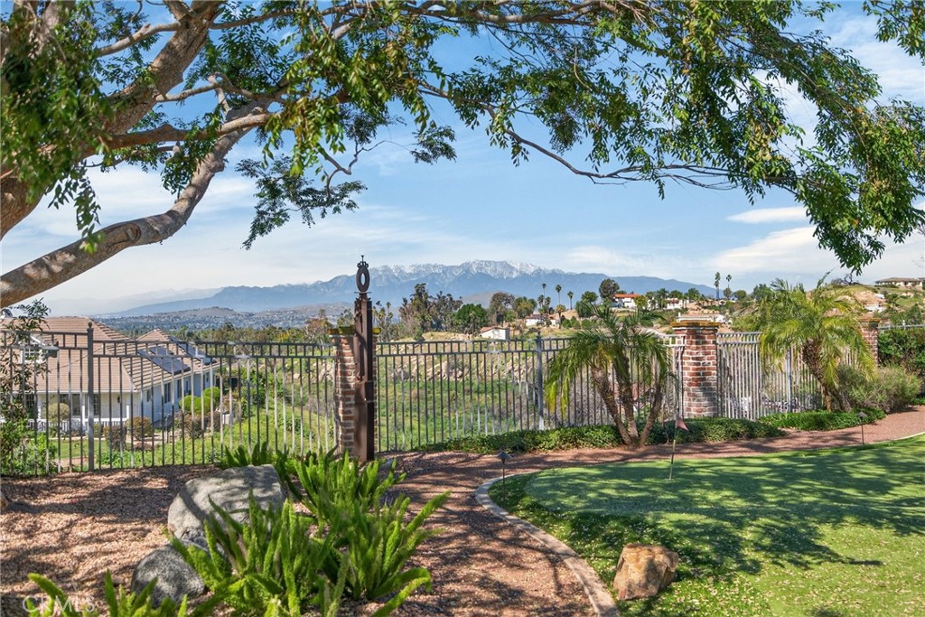 6872 Chartwell Drive Riverside, CA 92506 - Photo 67 of 75 a view of a yard with plants and large trees