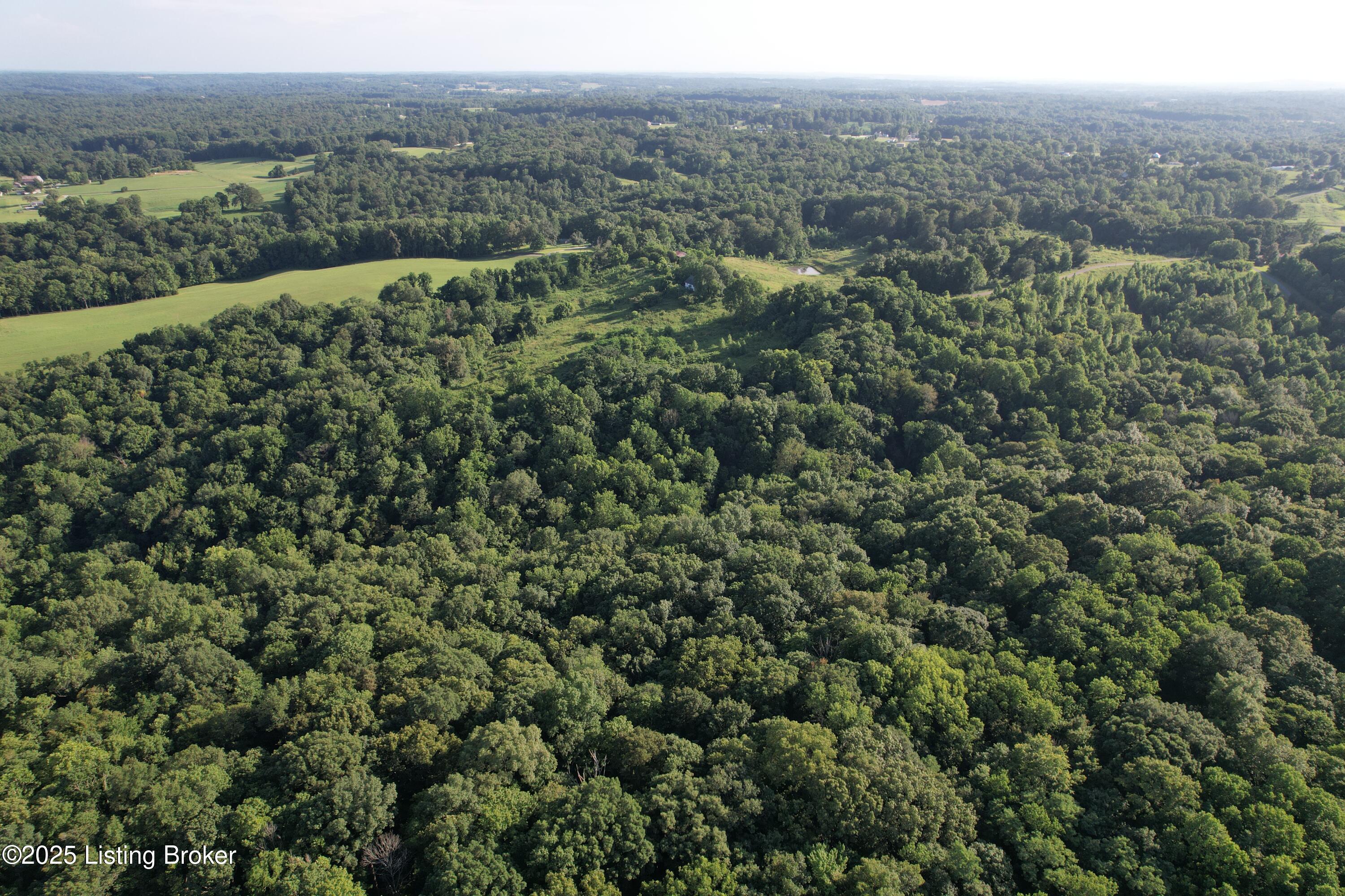 847 Locust Grove Road Greensburg, KY 42743 - Photo 54 of 68 DJI_0064