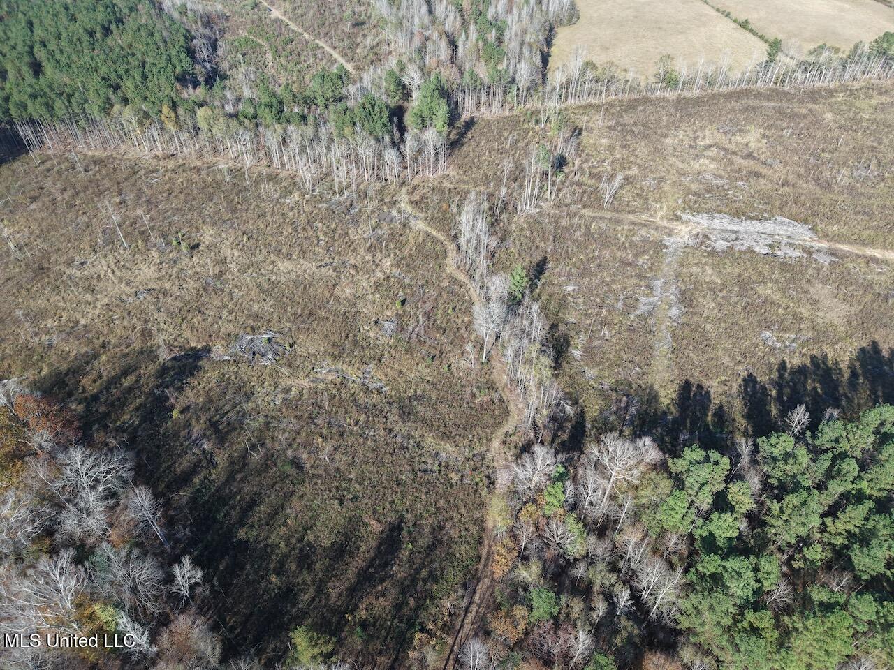 0 Greenland Road Little Rock, MS 39337 - Photo 25 of 40 dji_fly_20251122_134914_0108_17640148674
