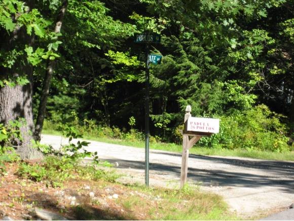 0 Corner Of George Road Hebron, NH 03241 - Photo 2 of 4