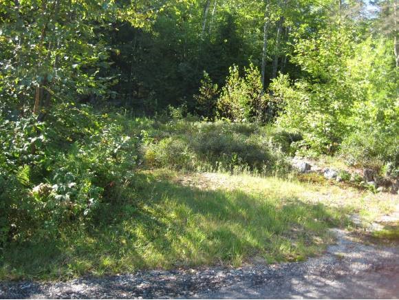 0 Corner Of George Road Hebron, NH 03241 - Photo 3 of 4