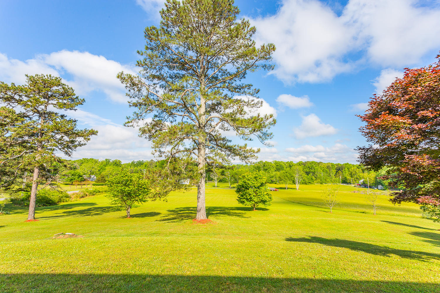 129 Wood Station Road Rock Spring, GA 30739 - Photo 84 of 112 129 Wood Station HD -14