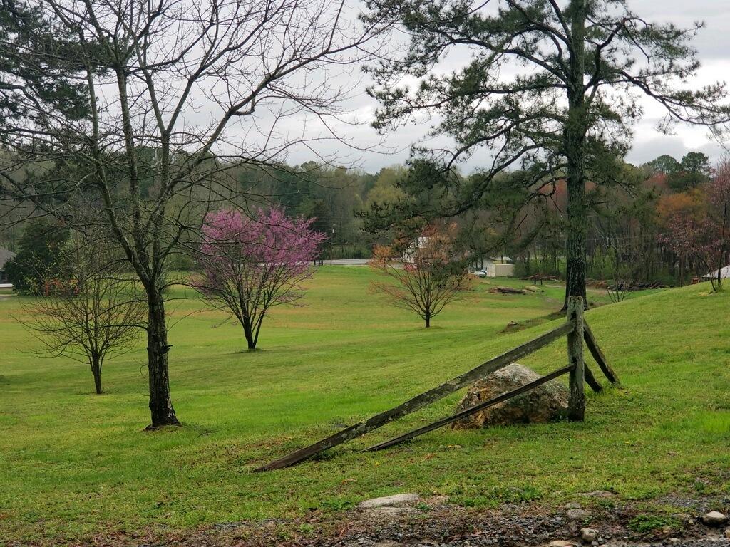 129 Wood Station Road Rock Spring, GA 30739 - Photo 94 of 112 AB899B95-9139-41BE-B7EC-E7910B637442