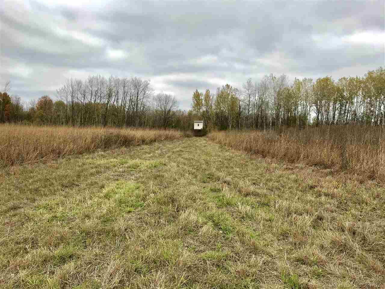 6610 Pringle Road Cass City, MI 48726 - Photo 18 of 24 Gallery Image 18