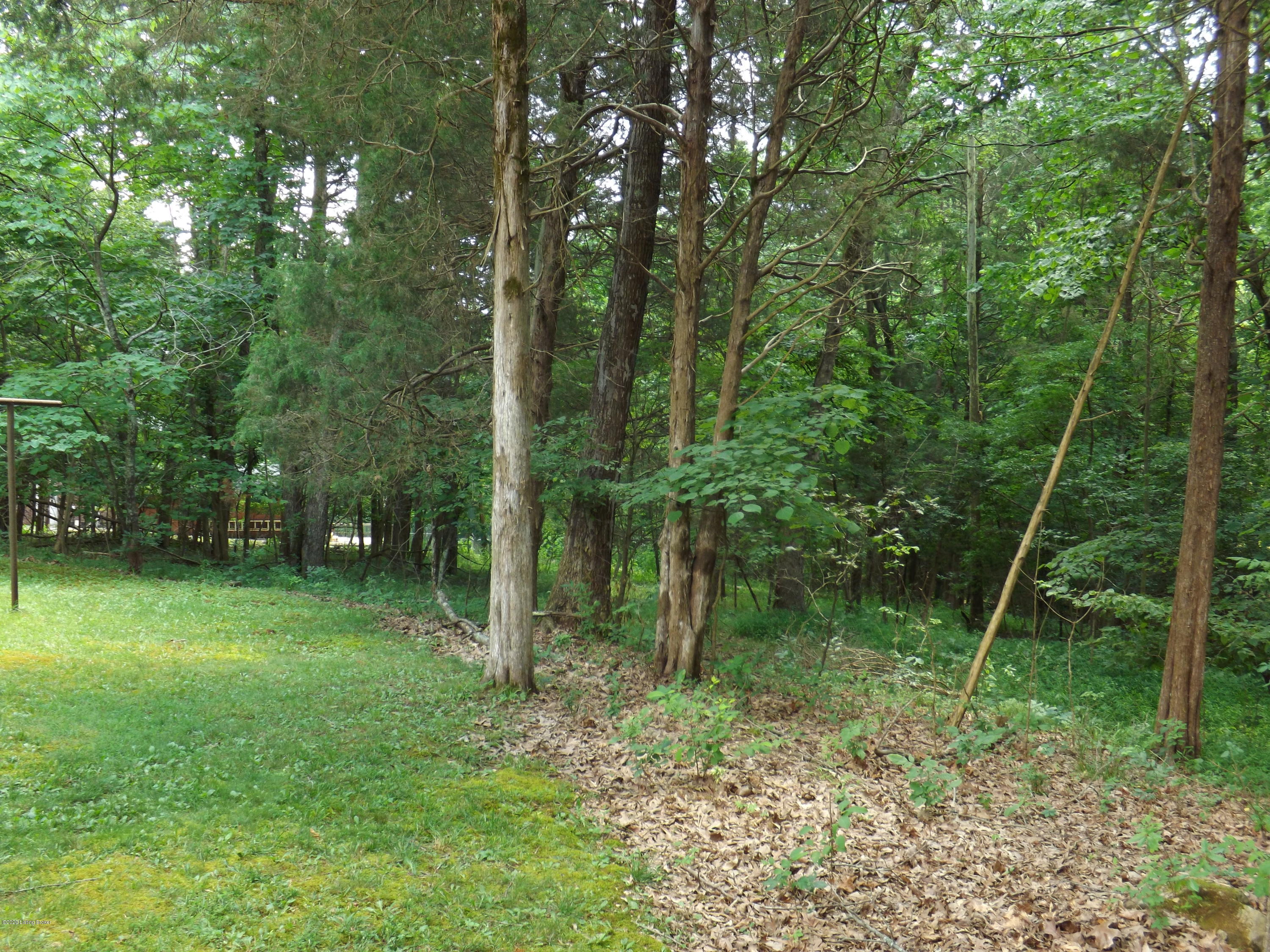 440 Redwing Road Brandenburg, KY 40108 - Photo 9 of 54 DSCF7140