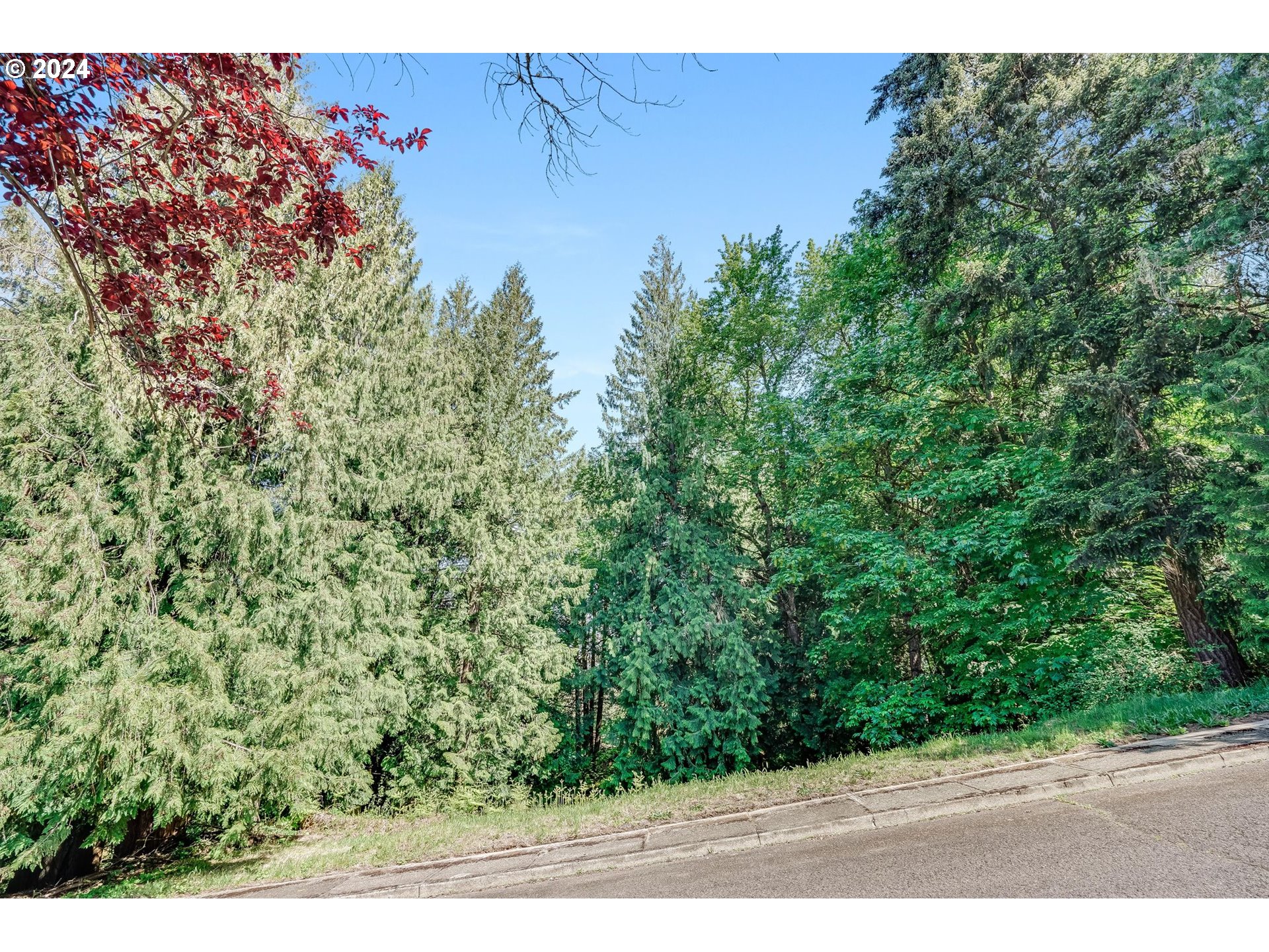 Southeast Duke Street Portland, OR 97236 - Photo 2 of 30