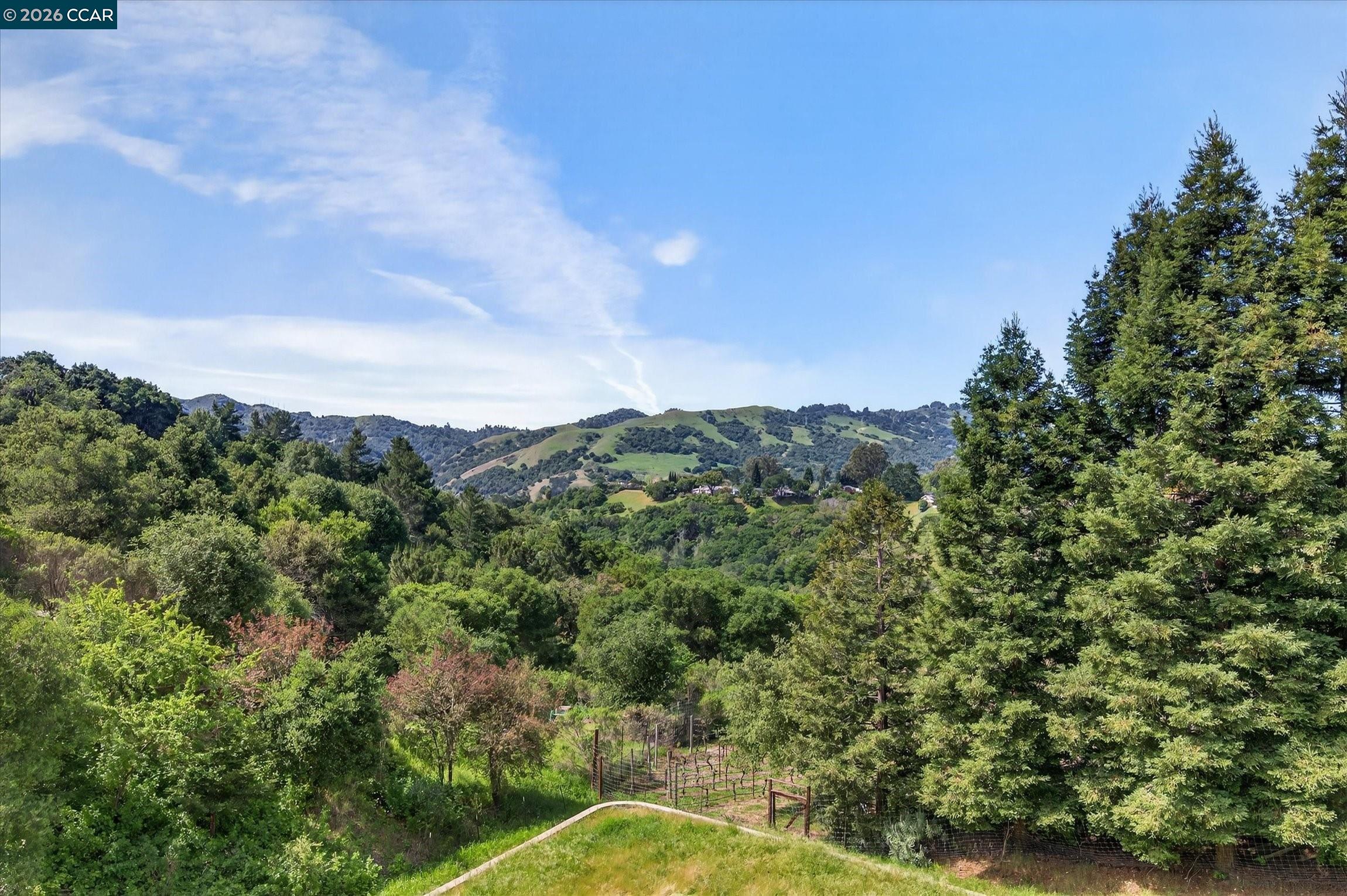 564 Tahos Road Orinda, CA 94563 - Photo 37 of 60