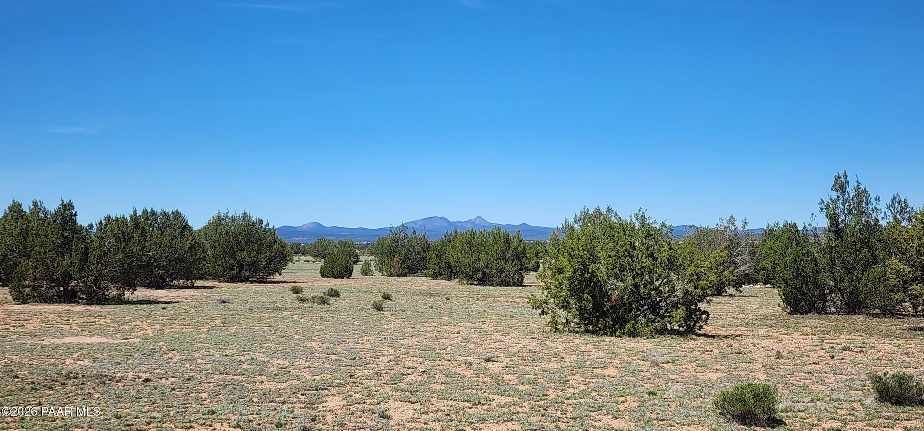 0 North Xxxxx Road Ash Fork, AZ 86320 - Photo 11 of 15 a view of a dry yard with trees in the background