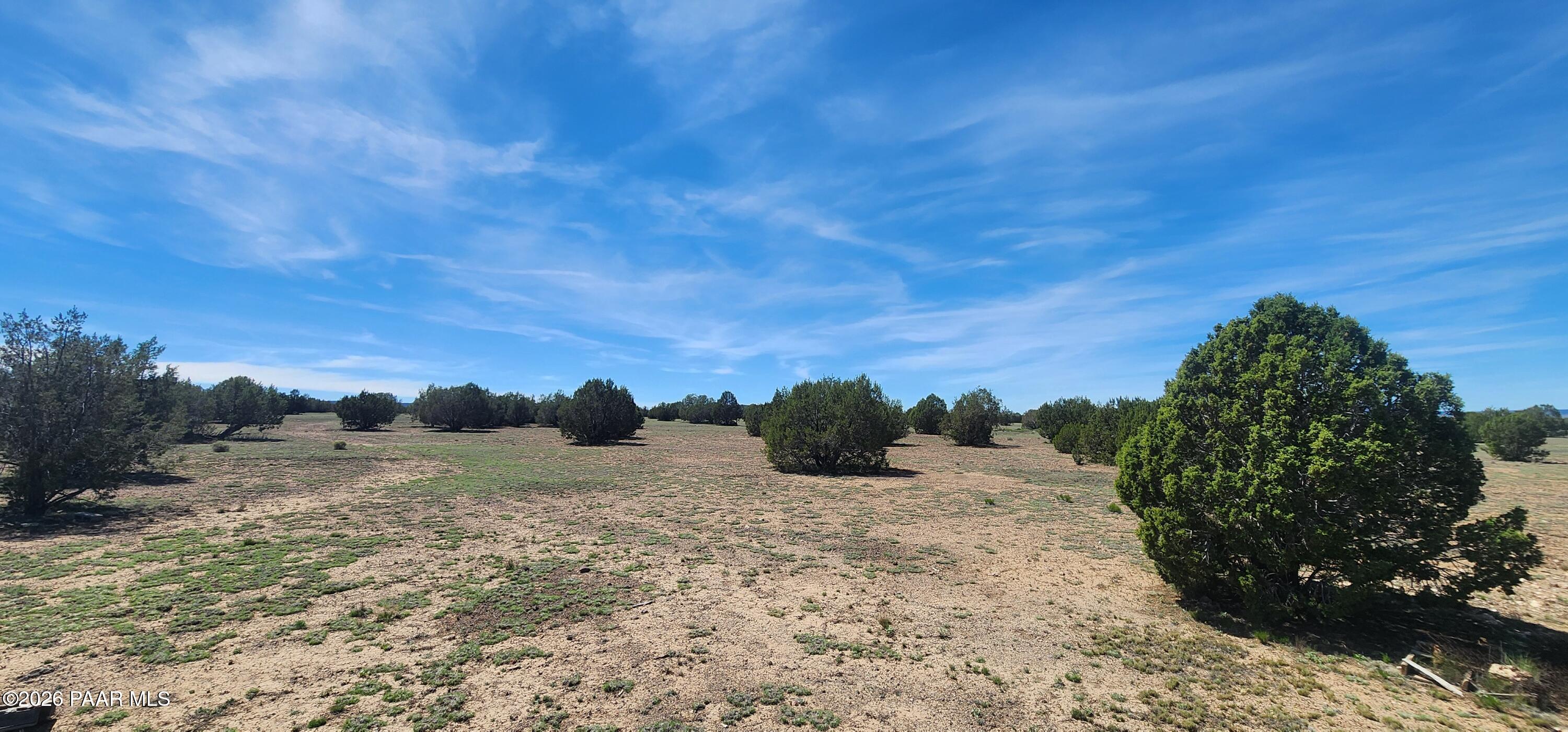 0 North Xxxxx Road Ash Fork, AZ 86320 - Photo 13 of 15 a view of a dry yard with trees