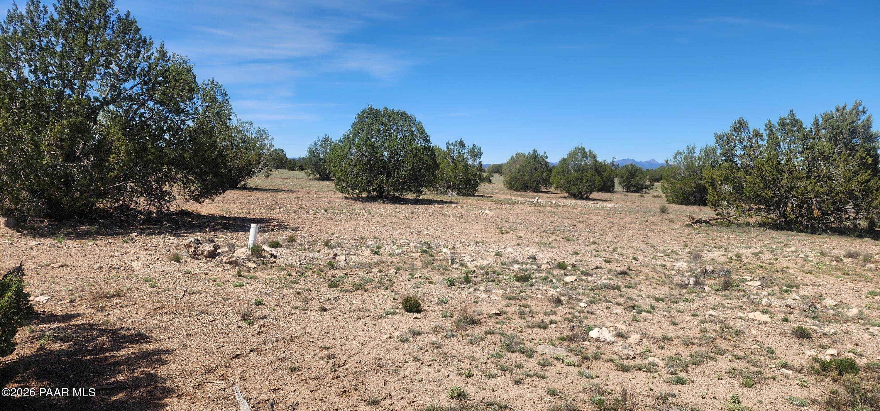 0 North Xxxxx Road Ash Fork, AZ 86320 - Photo 7 of 15 a view of a dry yard with trees