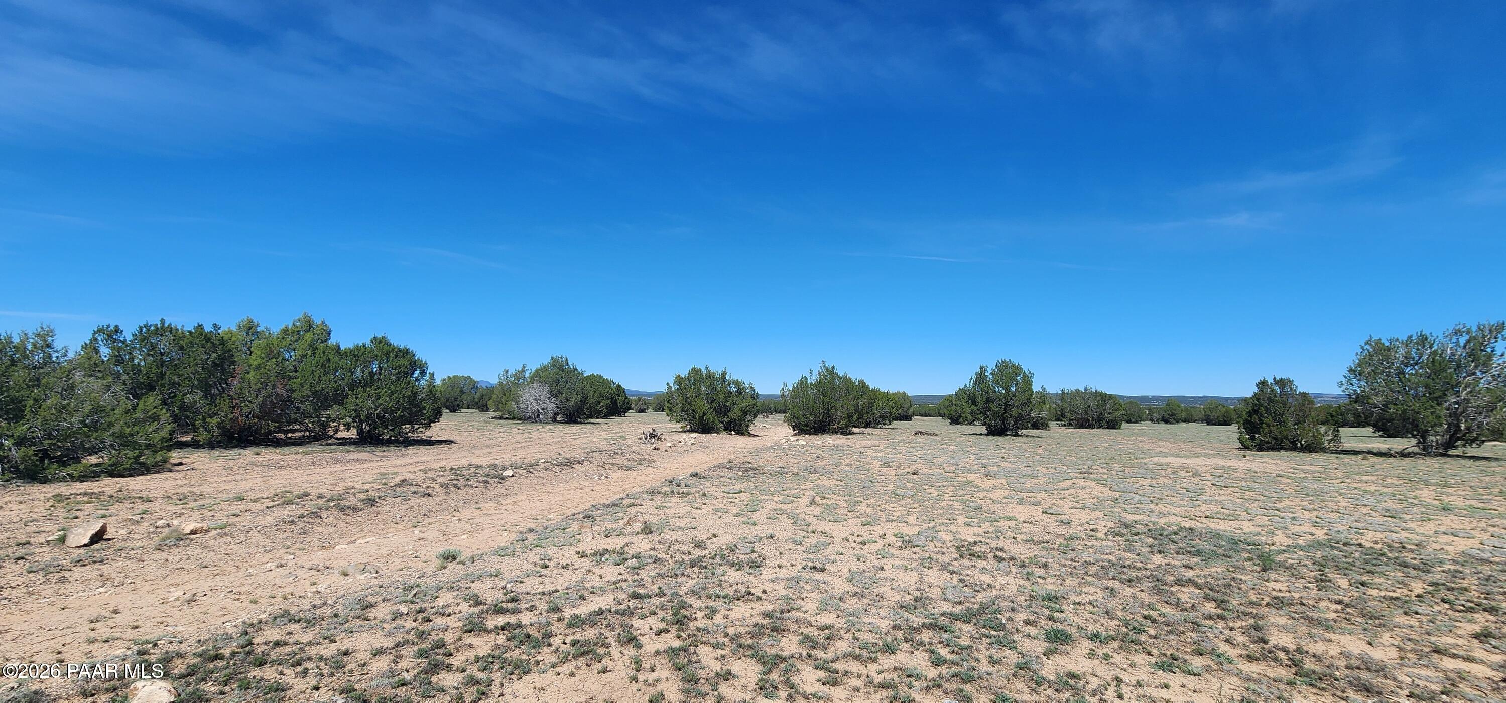 0 North Xxxxx Road Ash Fork, AZ 86320 - Photo 9 of 15 a view of a road with a trees in the background
