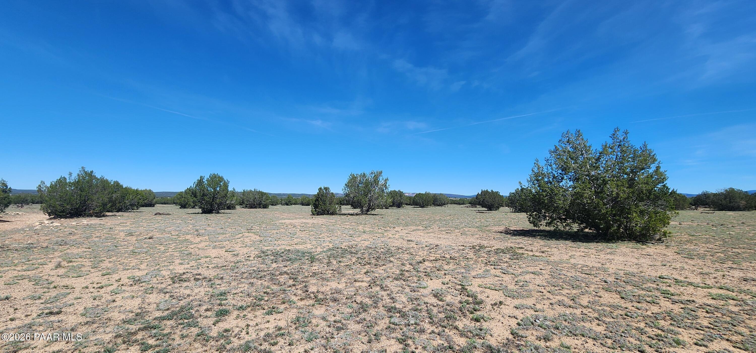 0 North Xxxxx Road Ash Fork, AZ 86320 - Photo 10 of 15 a view of a road with a trees in the background