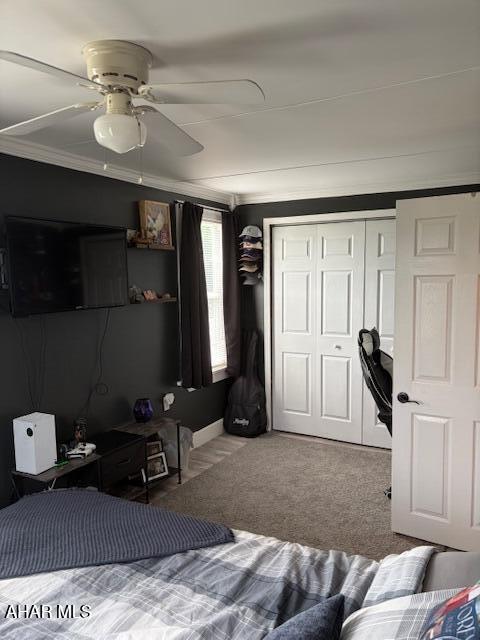 456 Catfish Road Duncansville, PA 16635 - Photo 11 of 30