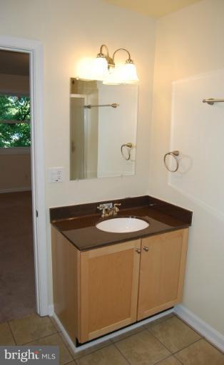 4307 Lynn Burke Road Monrovia, MD 21770 - Photo 18 of 30 Bath (Master)