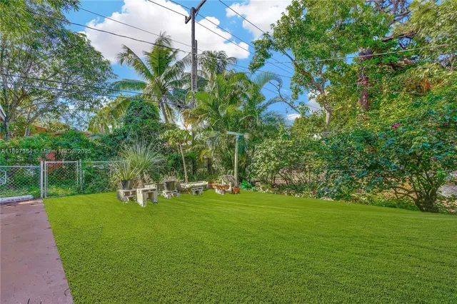 a view of a park with a tree