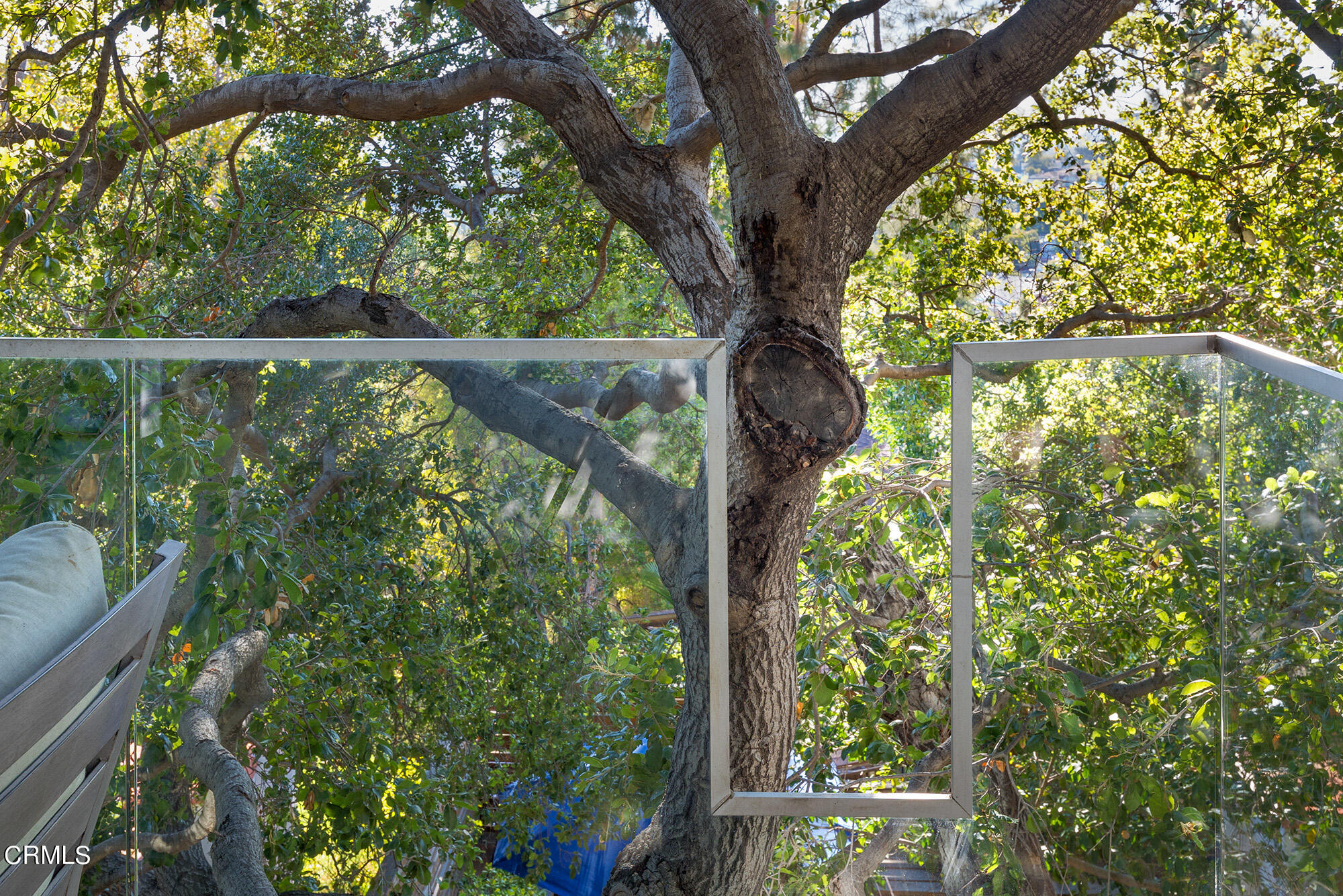 1869 Kaweah Drive Pasadena, CA 91105 - Photo 21 of 36 a view of a yard with a tree