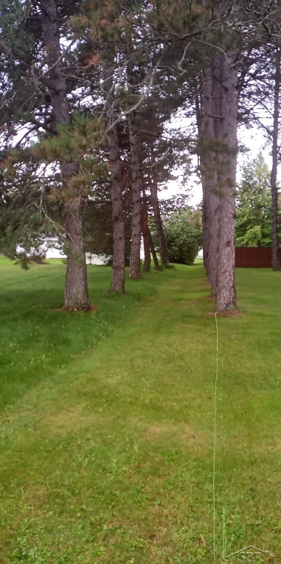 0 Simons Street Coleman, MI 48618 - Photo 6 of 9