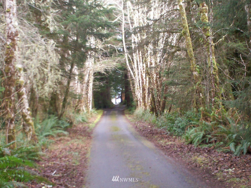 13208 Sandridge Road Long Beach, WA 98631 - Photo 14 of 15 Gallery Image 14